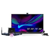 Promethean ActivPanel 10