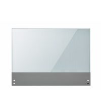 LG Transparent OLED Display