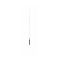 LG Transparent OLED Display