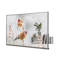 LG Transparent OLED Display