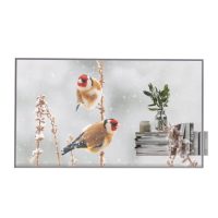 LG Transparent OLED Display