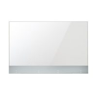 LG Transparent OLED Display