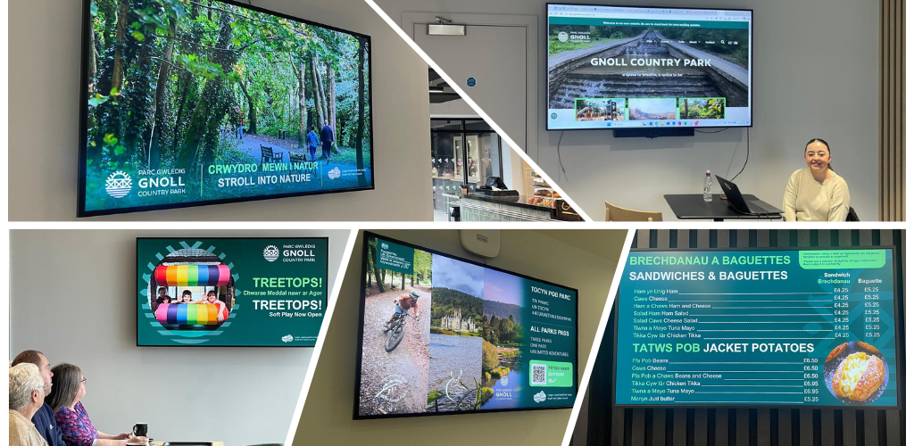 GNOLL Digital Signage