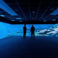 Immersive Rooms