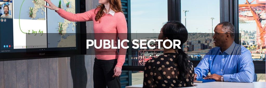 public-sector